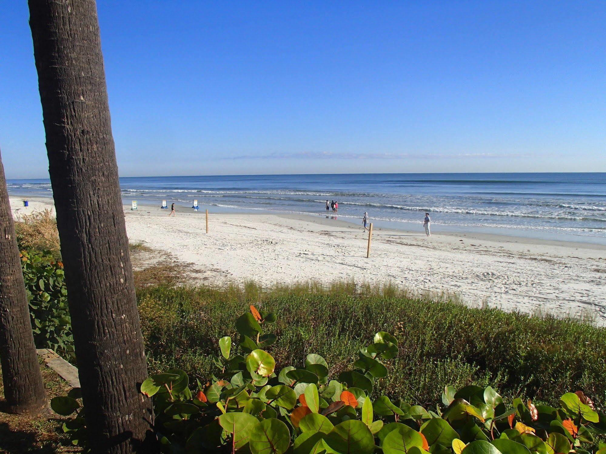 Flamingo Inn Beachfront - Daytona Beach Exterior photo